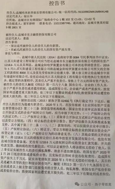 盐城某律师实名控告国有资产流失相关部门为何不启动追责程序?