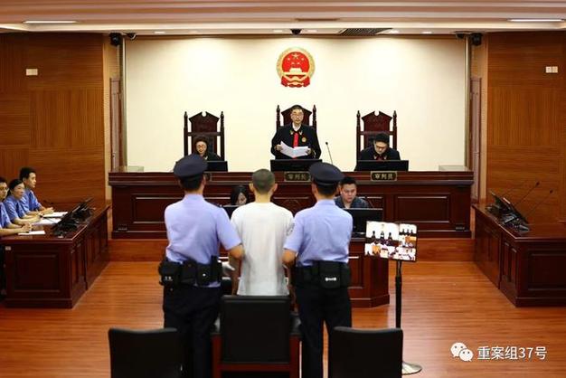 吴谢宇被执行死刑|杀人罪|辩护律师|诈骗罪|中级人民